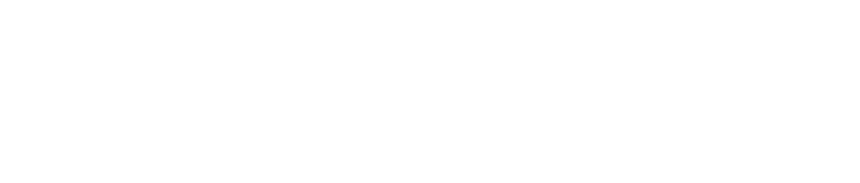 Capxe_footer_logo